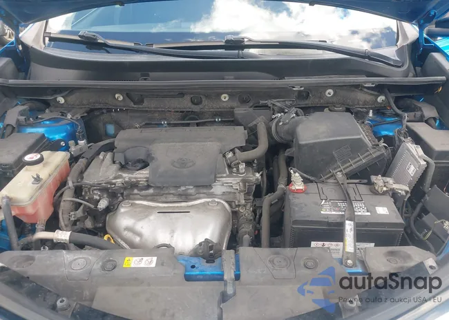 JTMZFREV0JJ175794: 42981138