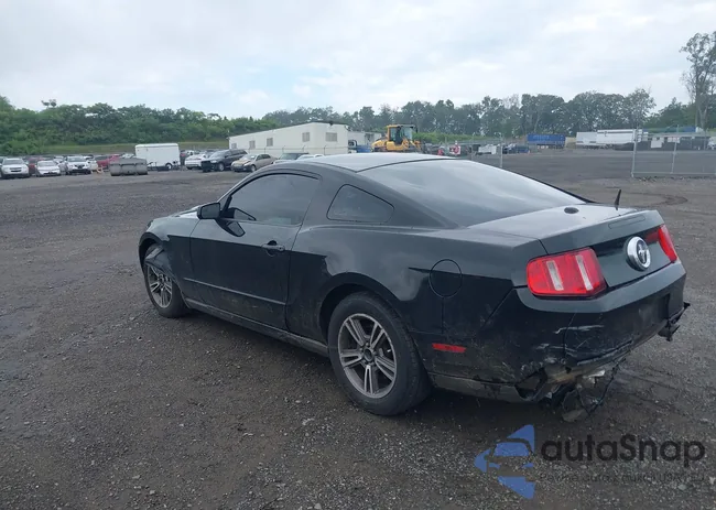 1ZVBP8AM7C5261635: 42981208