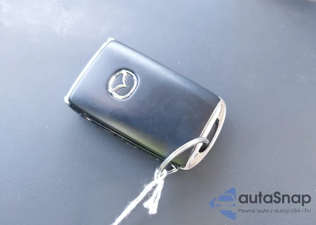 3MZBPBCL2MM252371: 42982402