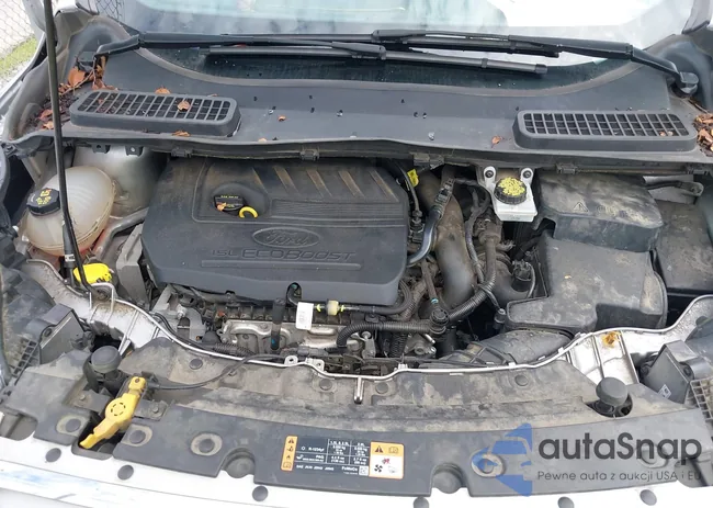 1FMCU0GD9HUB40526: 42982456