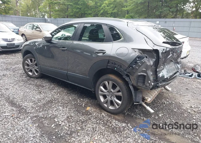 3MVDMBCLXNM407818: 42982543