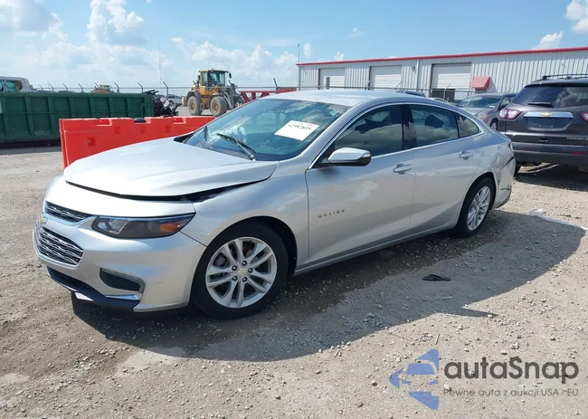 1G1ZD5ST5JF194919: 42982855