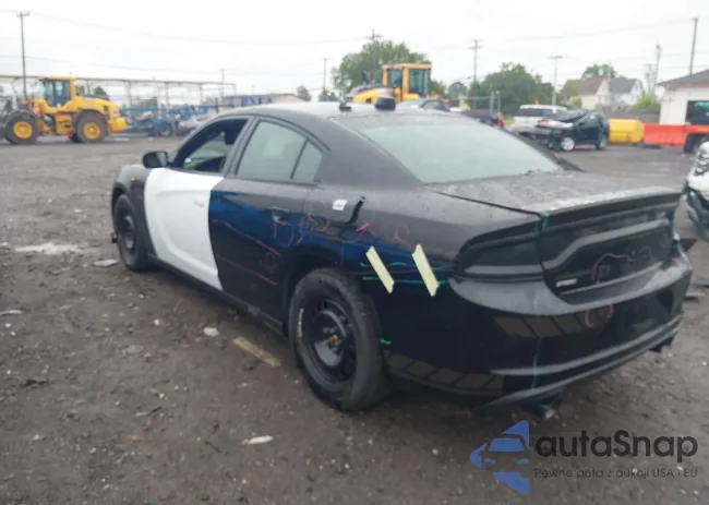 2C3CDXKT7GH304292: 42984331