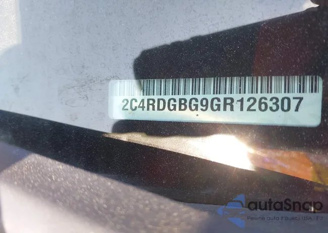 2C4RDGBG9GR126307: 42986541