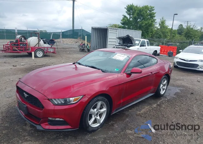 1FA6P8AM8H5307846: 42986705