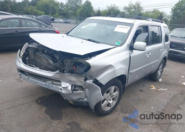 5FNYF4H61BB021879: 42986853