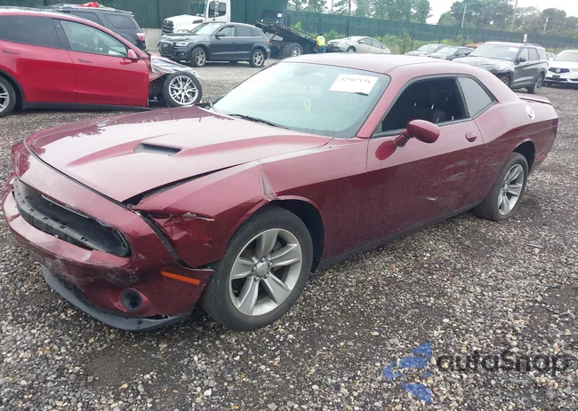 2C3CDZAG8MH516646: 42987134