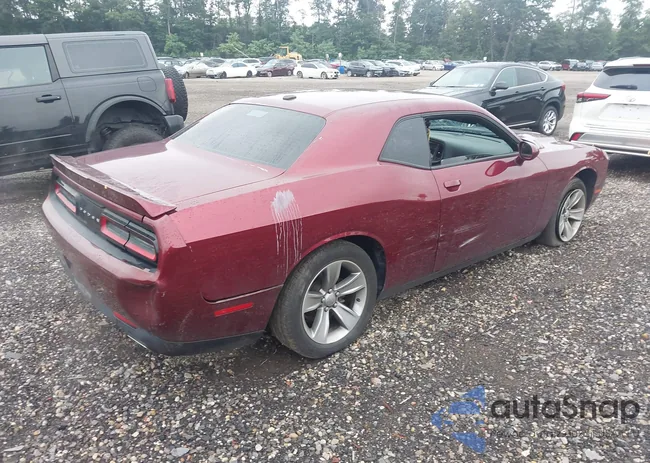 2C3CDZAG8MH516646: 42987134