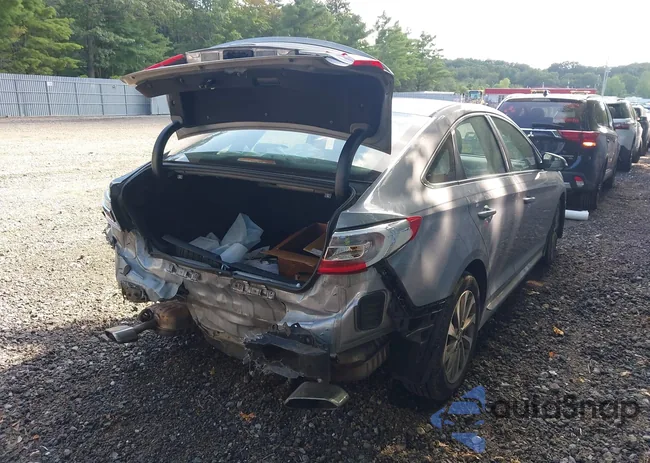 5NPE34AF7GH297742: 42987353