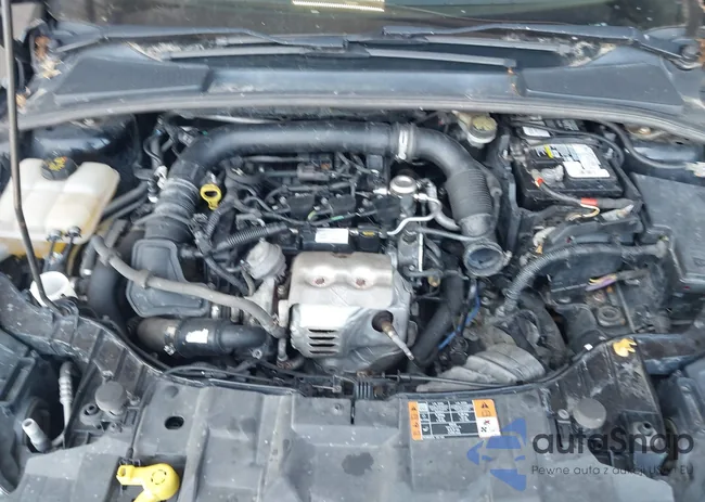 1FADP3FE2GL400089: 42988820