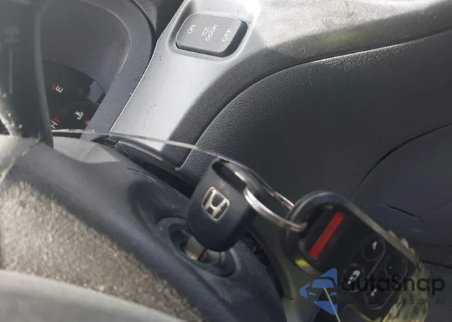 5FNRL38677B403137: 42988875