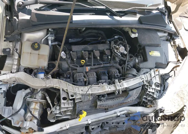 1FADP3J28HL331830: 42989121