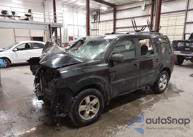 5FNYF4H56AB027280: 42990255