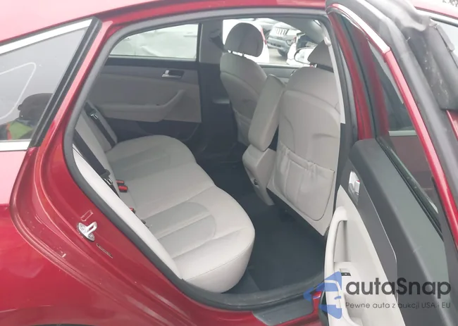 5NPE24AF4FH096513: 42991381