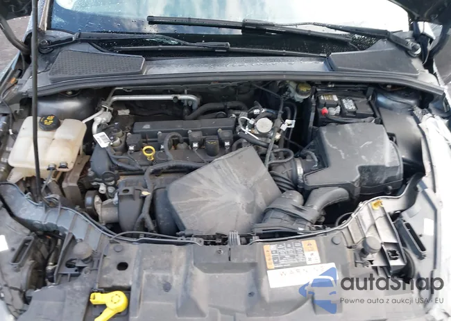 1FADP3F20GL401375: 42991655