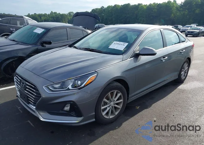 5NPE24AA5JH673790: 42994536