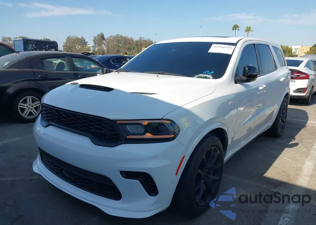 1C4SDJH90PC555187: 42994555