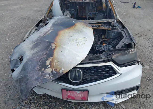 19UUB1F53KA000822: 42994714