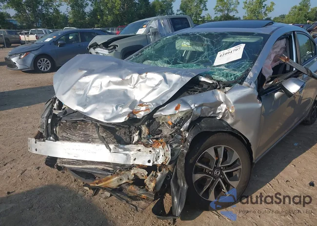 19XFB2F83DE022441: 42994797