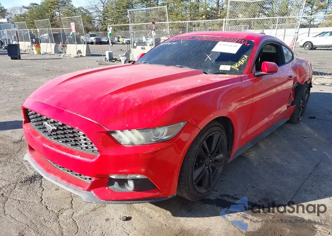 1FA6P8TH5F5335696: 42994140