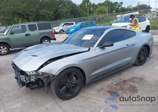 1FA6P8TH6N5110203: 42994199