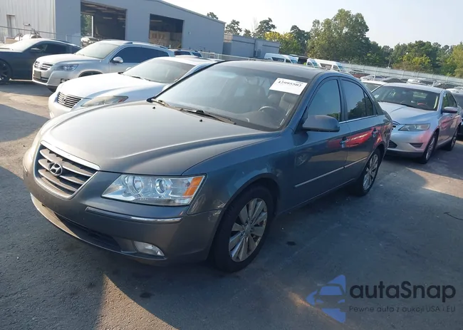 5NPEU46C49H502853: 42995502