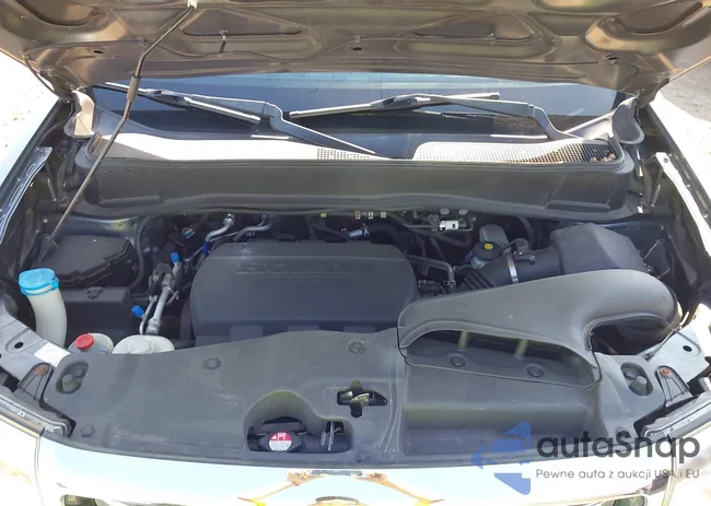 5FNYF4H59DB041047: 42995631