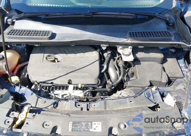 1FMCU9GD8JUA98392: 42995836