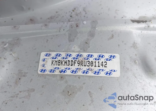 KM8KNDDF9RU301142: 42996335