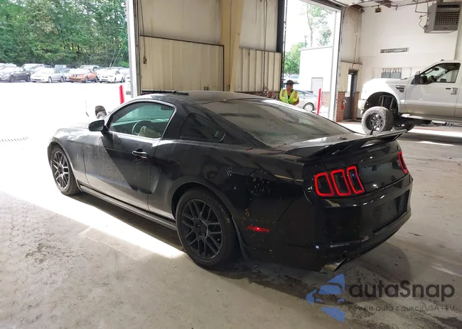 1ZVBP8AM3D5281009: 42996758