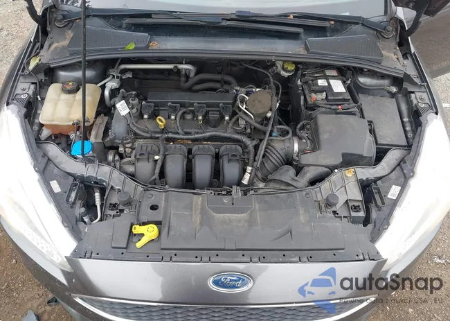 1FADP3F22GL272538: 42995994