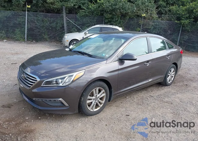 5NPE24AF2FH216034: 42997845