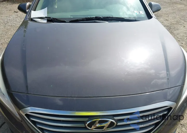 5NPE24AF2FH216034: 42997845