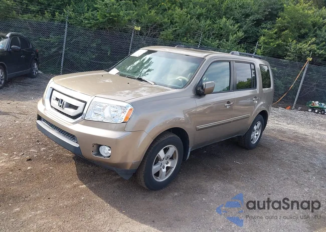 5FNYF3H56BB022012: 42998419