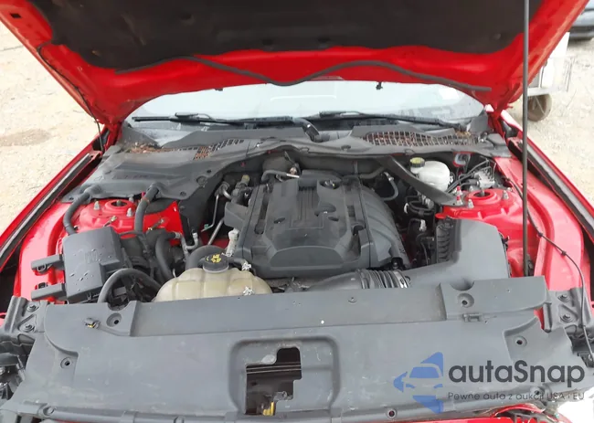 1FATP8UH8G5312433: 42999402