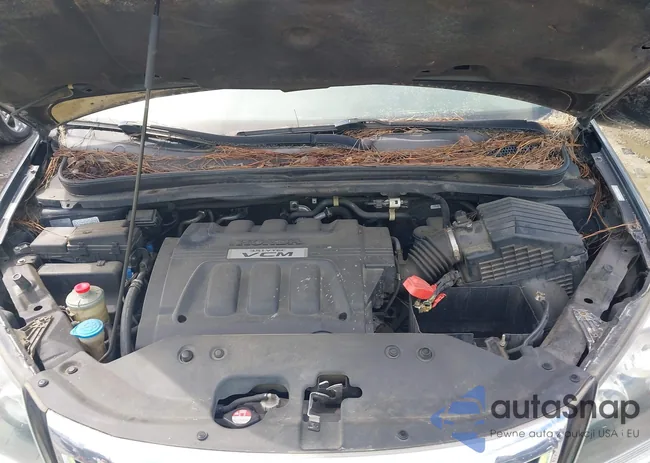 5FNRL38679B032306: 42999592