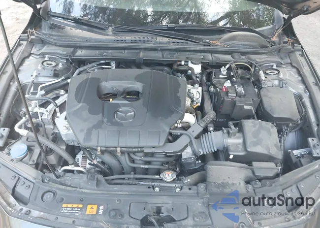 JM1BPALM0P1601017: 42999266