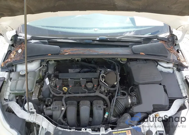 1FADP3E21DL260023: 43000438