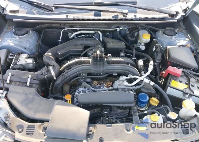 JF2GTADC5J8219055: 43000600