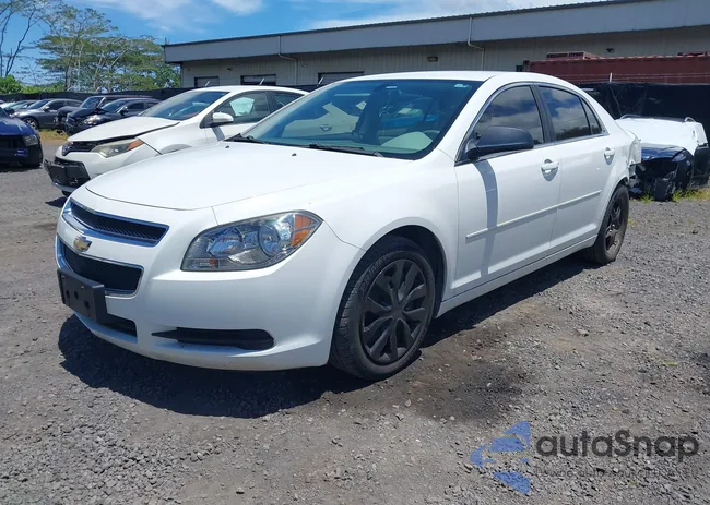 1G1ZB5E03CF157863: 43002556