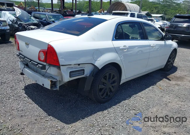 1G1ZB5E03CF157863: 43002556