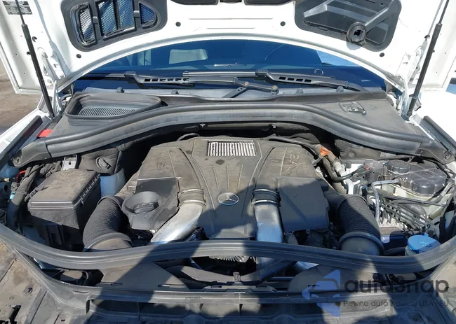 4JGDA7DB6EA337143: 43001960