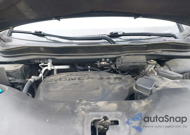 5FNYF6H20MB012053: 43003524