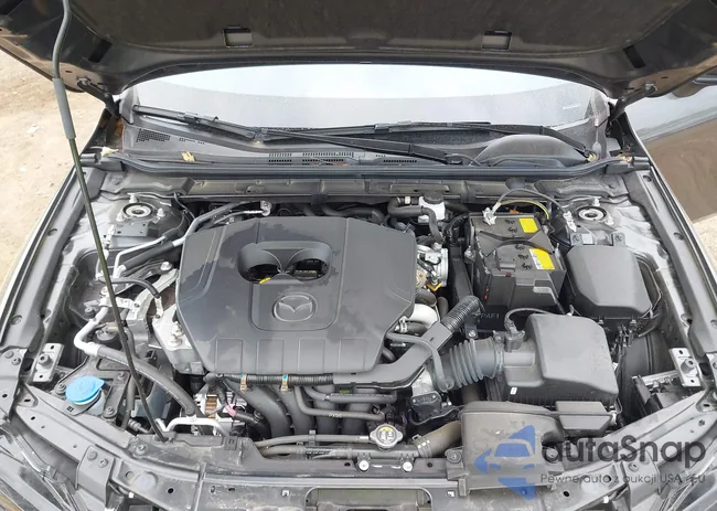 JM1BPALM9S1758604: 43003622