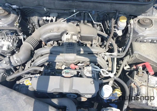 4S4BRCLCXE3256539: 43003005