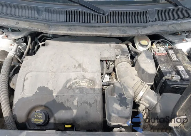 1FM5K8B88DGA95658: 43004343