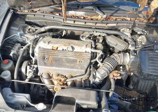 1HGCS12828A002937: 43004594