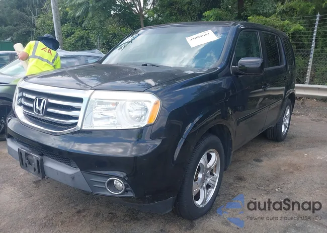 5FNYF4H46DB081979: 43004661