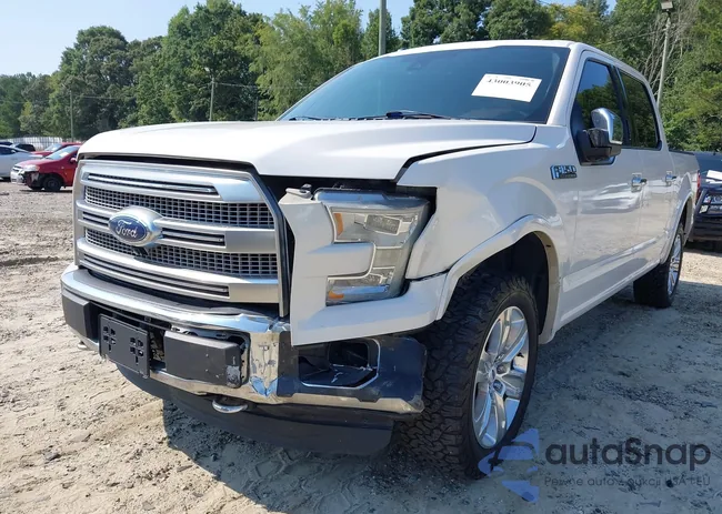 1FTEW1EF6FFB10757: 43003905