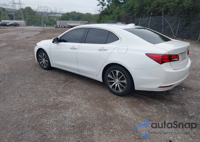 19UUB1F50FA013615: 43005691